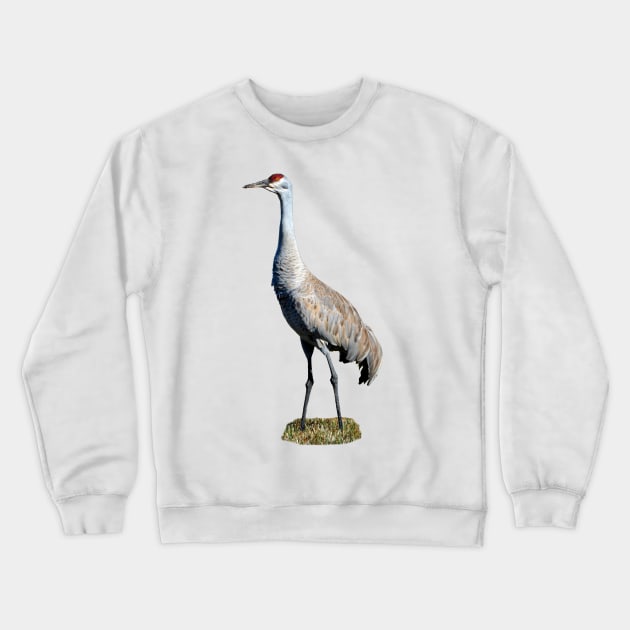 Sandhill Crane Photo Crewneck Sweatshirt by DeniseBruchmanPhotography